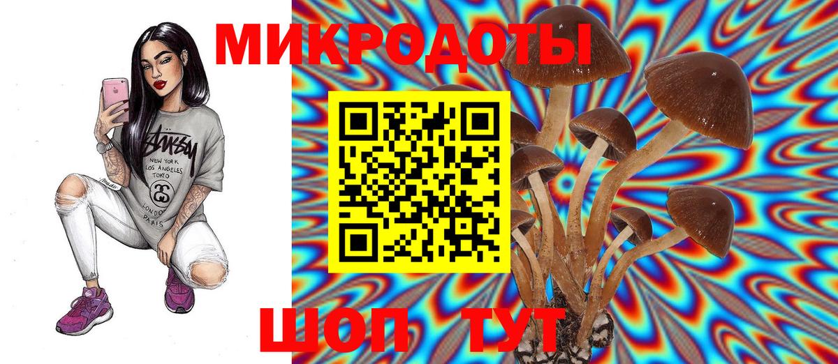 Гатчина  Галлюциногенные грибы мухоморы  как найти   Вход с VPN 