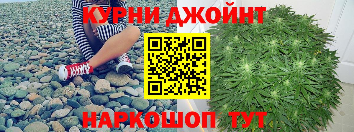 Конопля сатива Гатчина